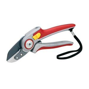 Beskjæringsaks RS 5000