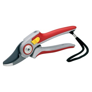 Beskjæringsaks RR 5000